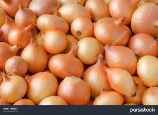 پیاز زرد ۱ کیلویی
