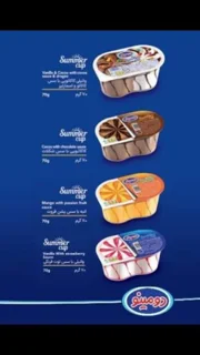 بستنی خانواده ۵۰۰ گرمی دومینو